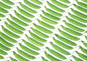 新橋で牡蠣食べ放題と海鮮料理を満喫!「かき小屋 新橋店」の魅力と店舗情報