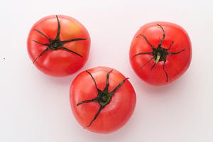 幕張本郷駅近くの居酒屋「酒場食堂V」 – 炭火焼きと新鮮魚介を楽しむ絶品料理と多彩なドリンクメニュー