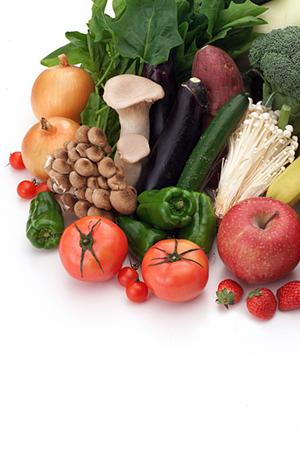 日本橋の居酒屋完全ガイド2026｜地元民おすすめの人気店と最新トレンド