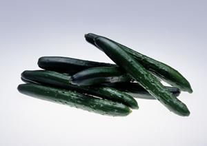 札幌の人気スープカレー店「奥芝商店 実家店」の魅力と店舗情報